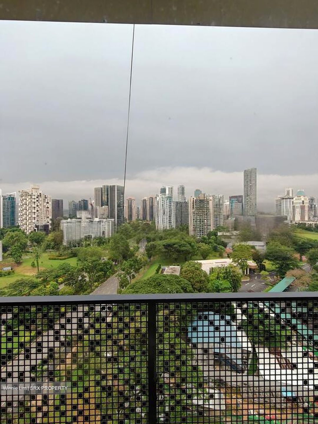 Irwell Hill Residences (D9), Apartment #478596261